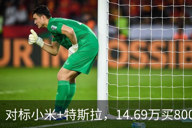 对标小米+特斯拉，14.69万买800公里续航！